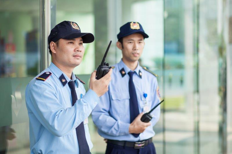 Bảo vệ Long Việt