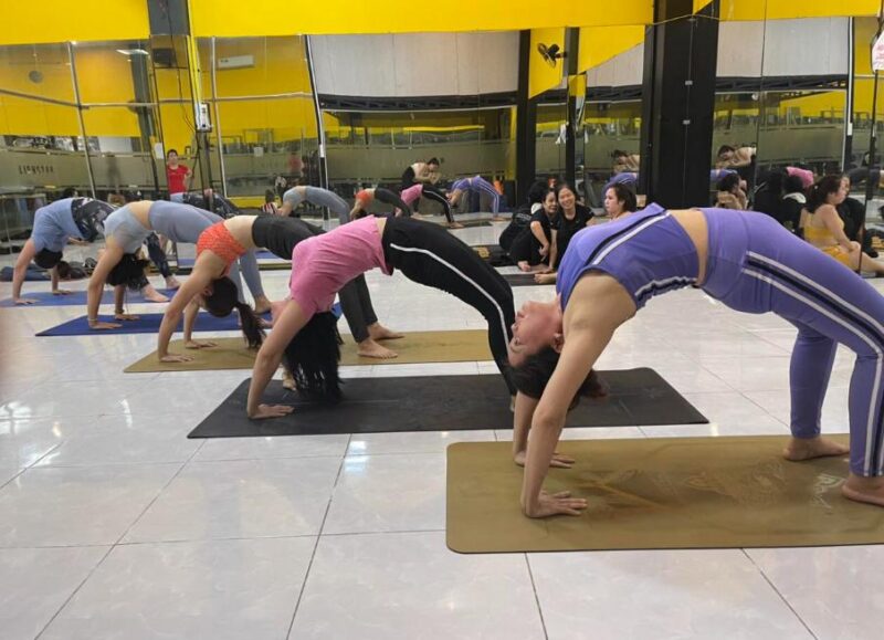LionStar Fitness