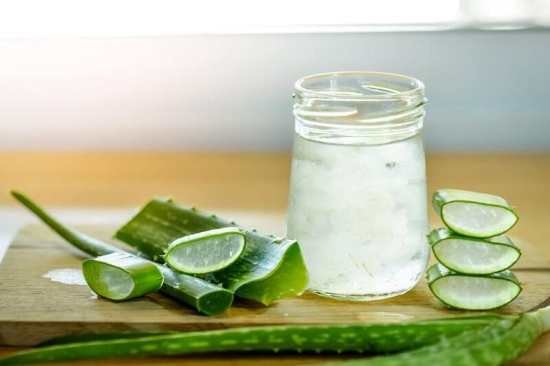 Thành phẩm yến chưng nha đam thanh mát, tốt cho cơ thể